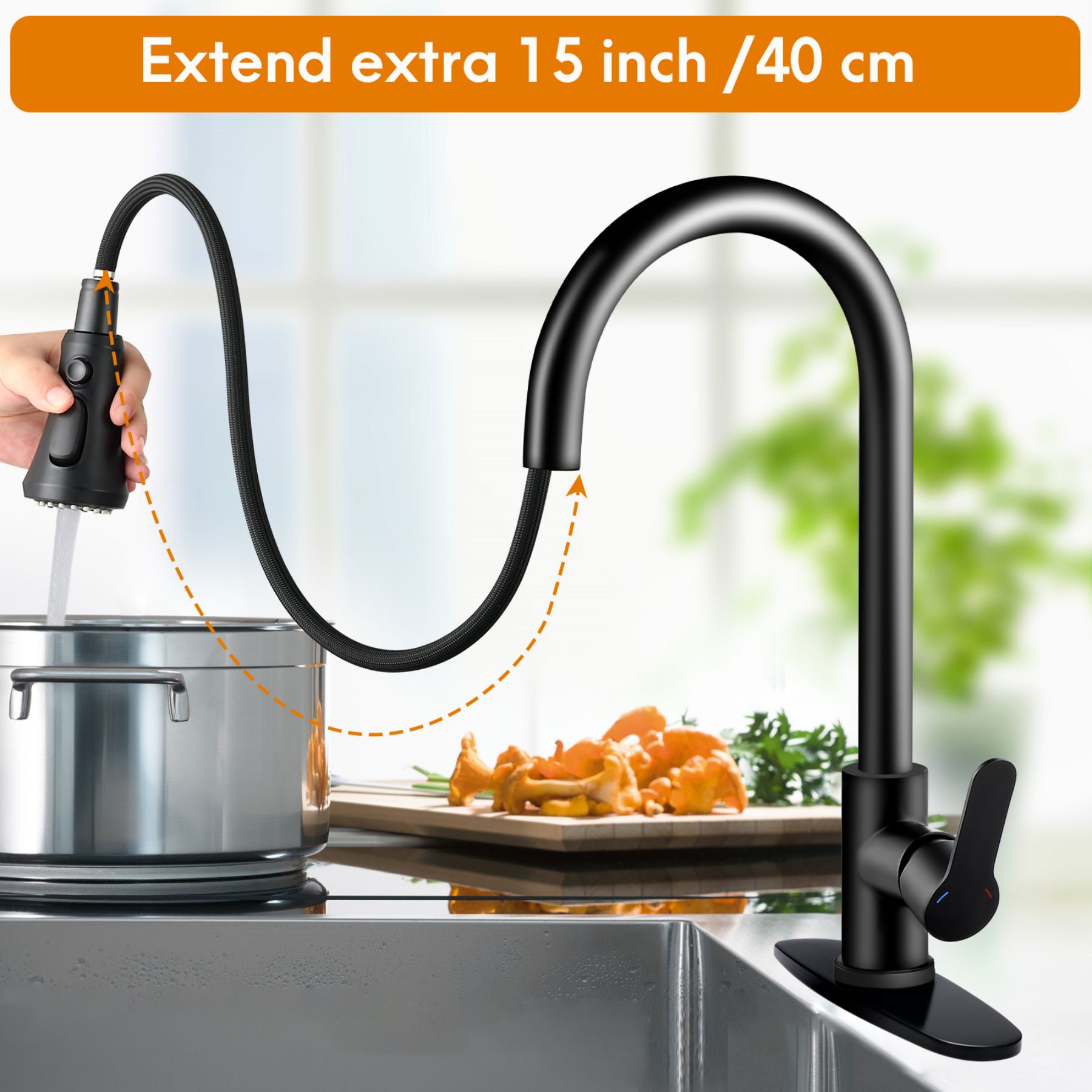 Kitchen Faucet With Pull Down Sprayer