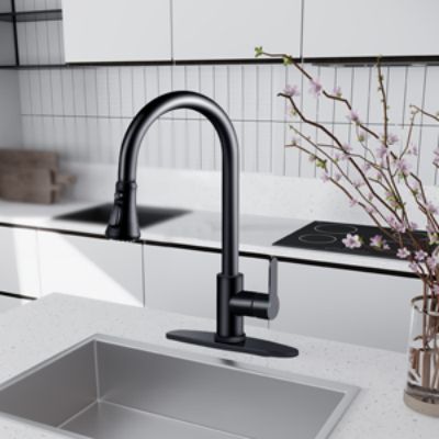best pull down kitchen faucet