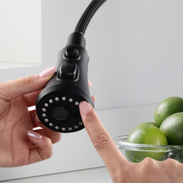 Sink Faucet With Pull Out Sprayer