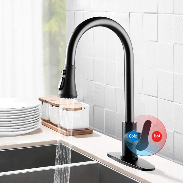Sink Faucet With Pull Out Sprayer